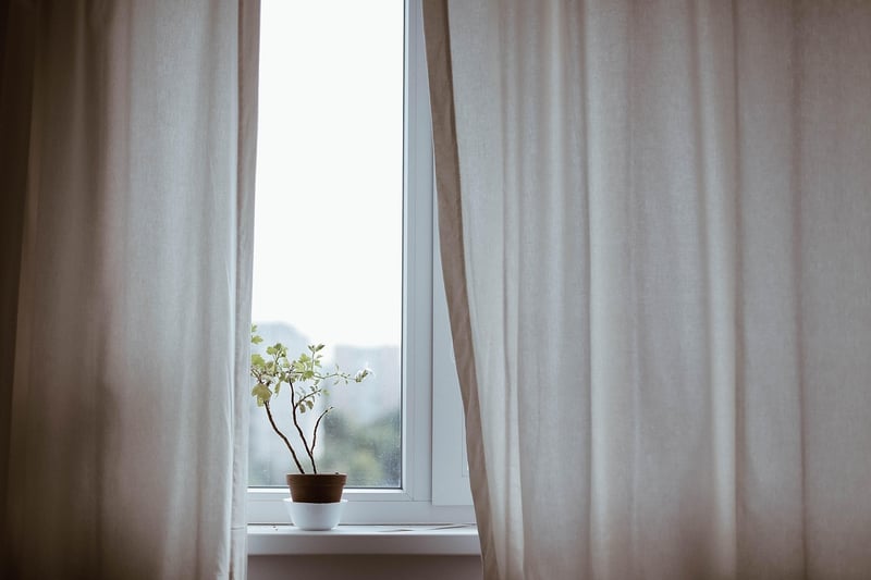 Indoor Plant Care