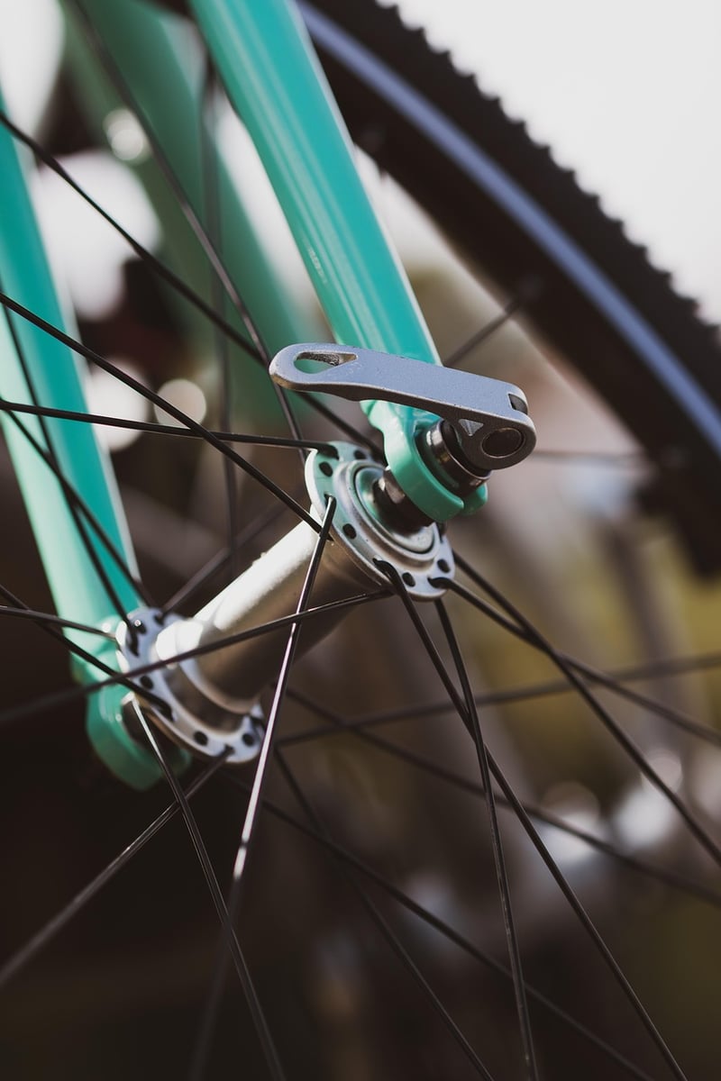 Bike Wheel Trellis